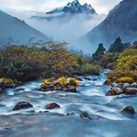 海底世界头像风景图