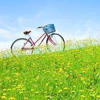 高端大气风景头像男