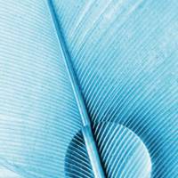 风景风景头像唯美壁纸