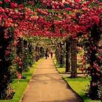 微信头像为风景意味着