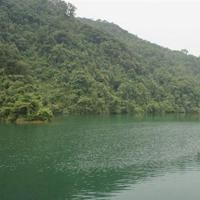 微信头像是风景风水