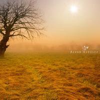 漫画风景头像女生背影