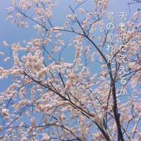 唯美日系动漫风景头像