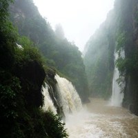 头像站在马路上看风景