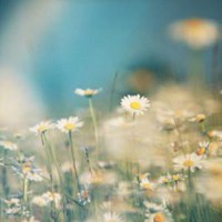 风景中人物头像