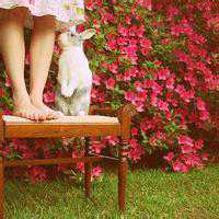 蓝天大海风景头像高清