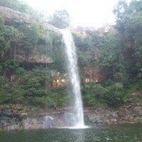 风景中小花唯美特写头像