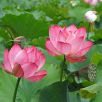 漂亮头像风景男生头像