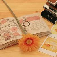 风景与动漫头像