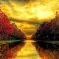 微信头像风景竹子大图