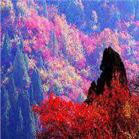 飞机窗外风景+头像