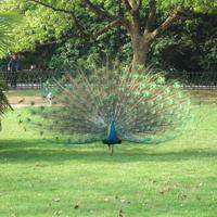 微信头像风景唯美带字