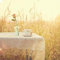 风景女生头像动漫卡通