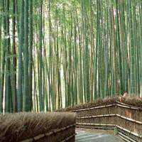 微信头像风景大海男