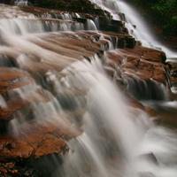 带好运花草风景头像