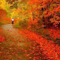 微信头像用楼房风景