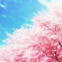 风景中带佛头像