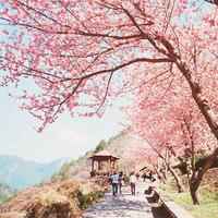 有风景又有可爱美女头像