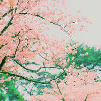 海阔天空微信头像风景