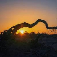 大自然风景头像与人