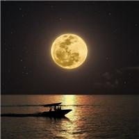 微信头像风景加文字