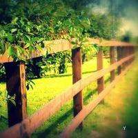 微信头像二次元风景