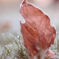 微信头像风景太阳日出