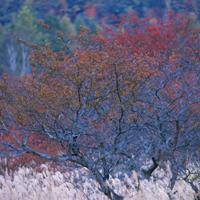微信头像欧美街拍风景