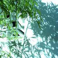 男生头像是风景