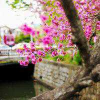 微信头像风景大海男