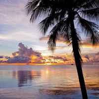 唯美向日葵风景头像女生