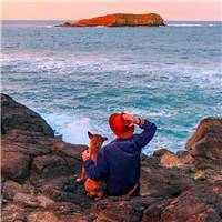 支付宝头像风景