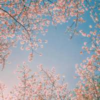 霸气风景图男生头像带字