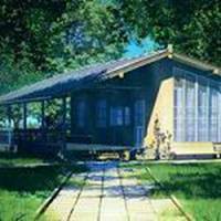 手机头像风景高清花草