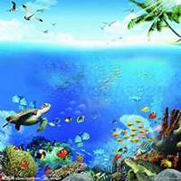 风景头像+背影+唯美