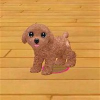 小狗头像简笔画并涂色