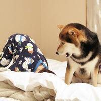 手工小狗头像做法