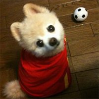 小男孩抱小狗头像