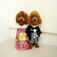 简单小狗头像超新黏土