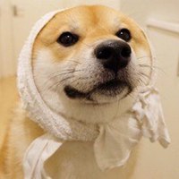 小狗头像画画像