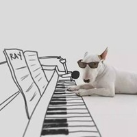 小狗头像拍照软件