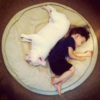 简单小狗头像简笔画