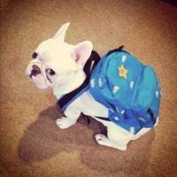 卖药了小狗头像