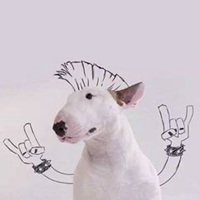 小狗头像画法视频教程