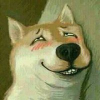 小狗头像+微信+卖萌