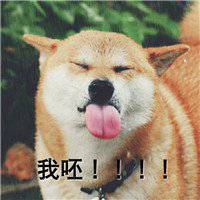 西卡微博小狗头像