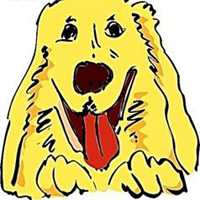 小狗头像拍照软件