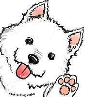 钱小佳小狗头像