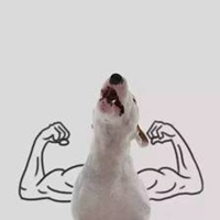 嘴角滴奶小狗头像