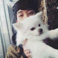 小狗头像画法视频